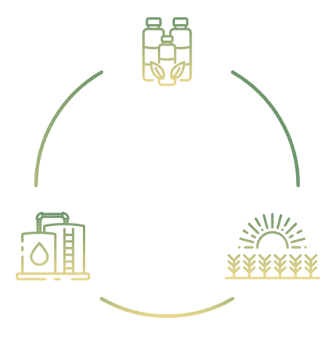 about-us-text-image about-us-text-image